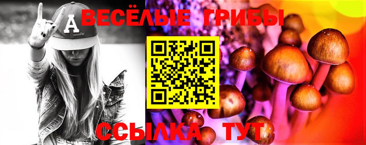 Галлюциногенные грибы ЛСД Кольчугино