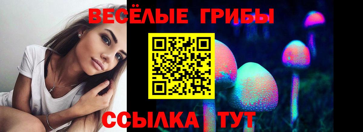 наркота  Вход с VPN  Кольчугино  Псилоцибиновые грибы Psilocybe 