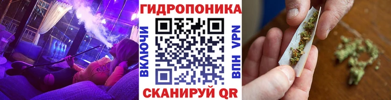 Шишки марихуана семена  Кольчугино 
