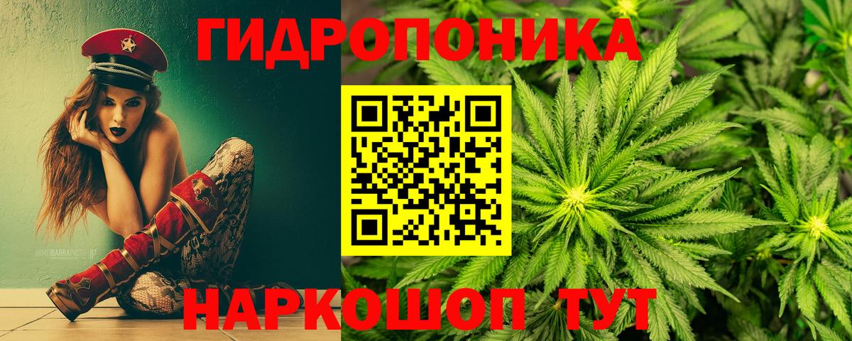 Кольчугино  Каннабис VHQ  Вход с VPN  Марихуана семена  Канабис THC 21%  МАРИХУАНА конопля 
